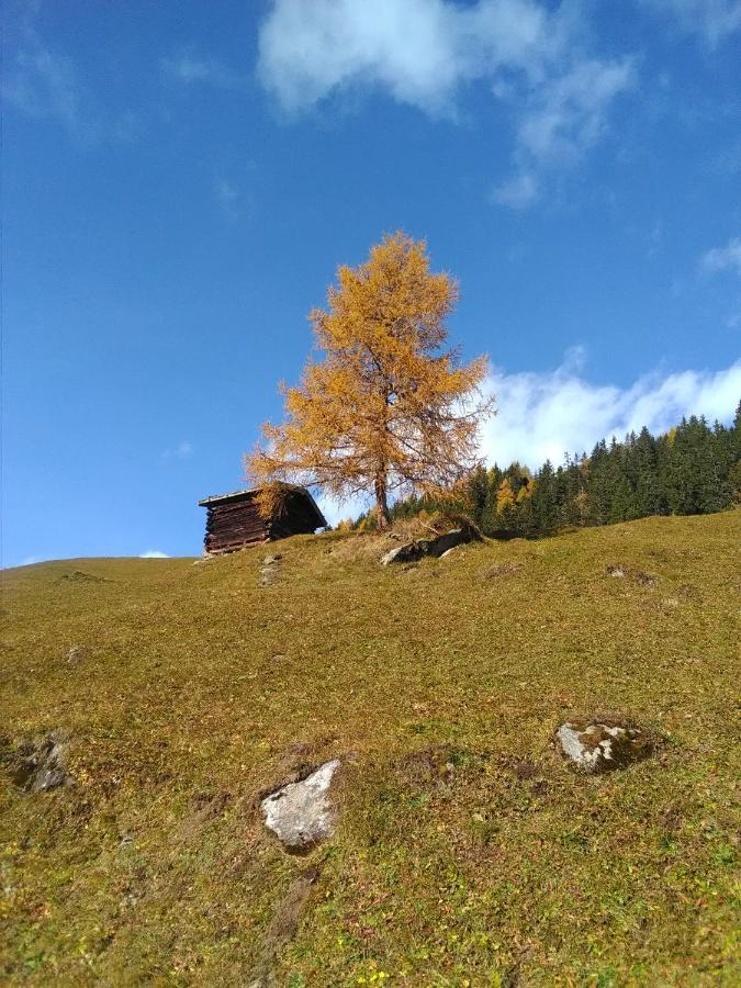 Ferienwohnung Felix-Adults Only Neustift im Stubaital Εξωτερικό φωτογραφία