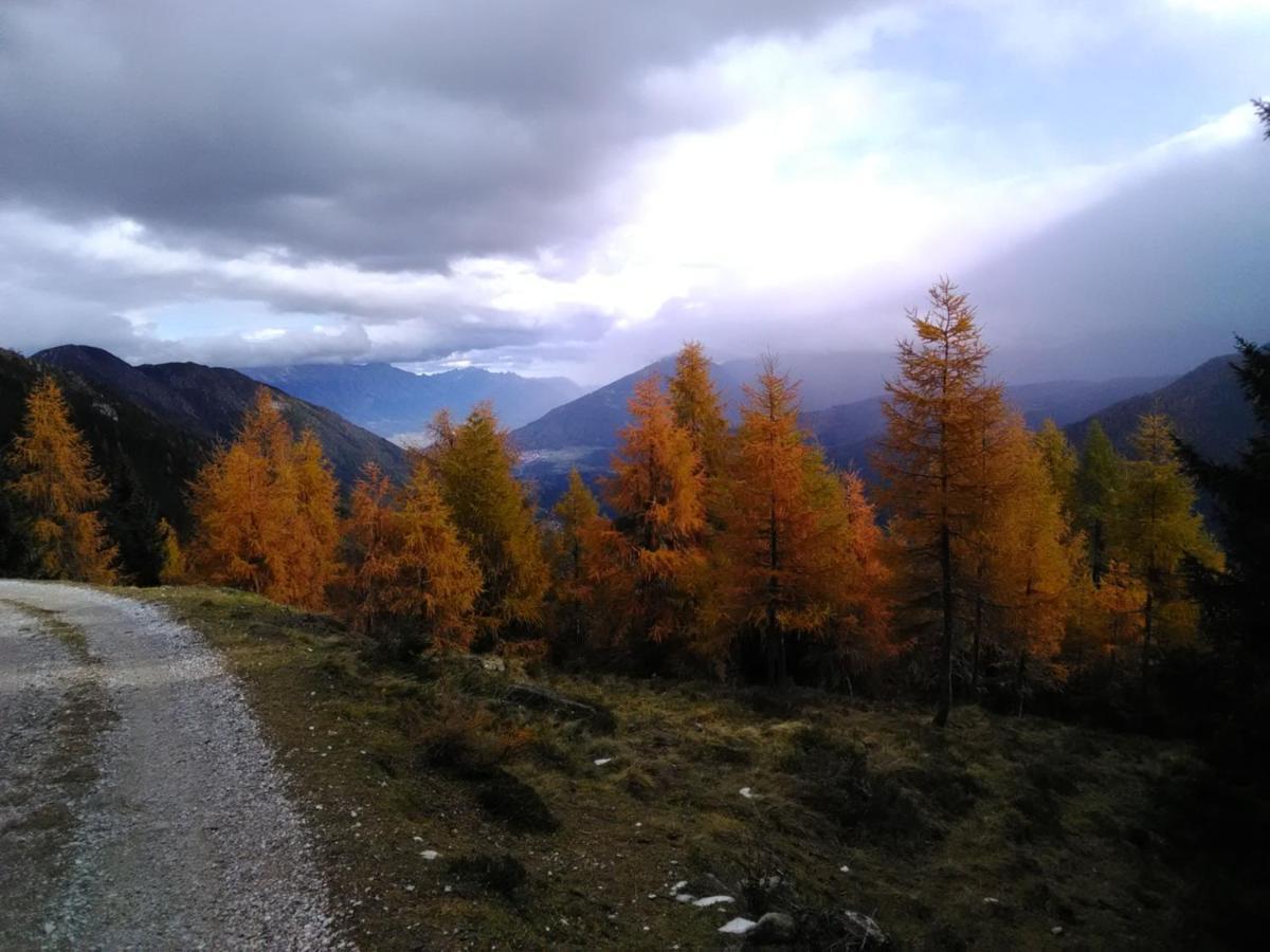 Ferienwohnung Felix-Adults Only Neustift im Stubaital Εξωτερικό φωτογραφία