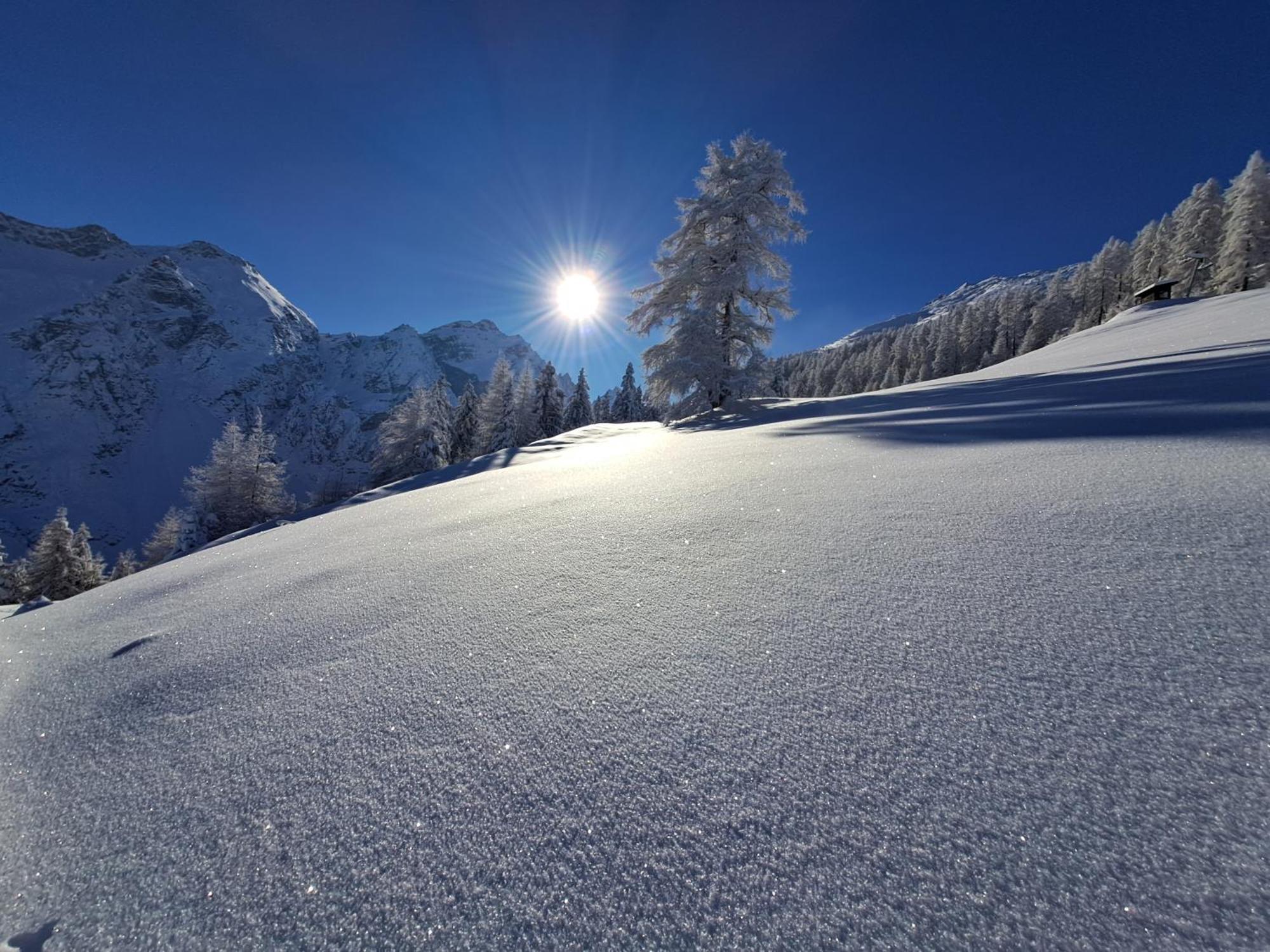 Ferienwohnung Felix-Adults Only Neustift im Stubaital Εξωτερικό φωτογραφία