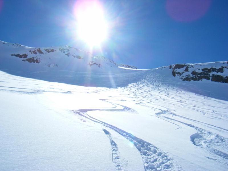 Ferienwohnung Felix-Adults Only Neustift im Stubaital Εξωτερικό φωτογραφία